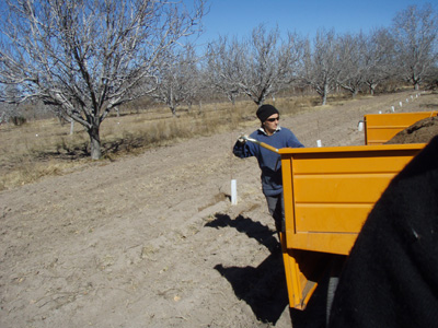 25 P7130051 Shoveling fertilizer San Rafael.jpg